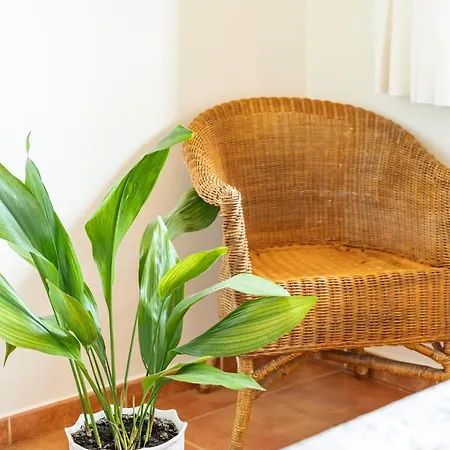 De Buena Vista * Onís