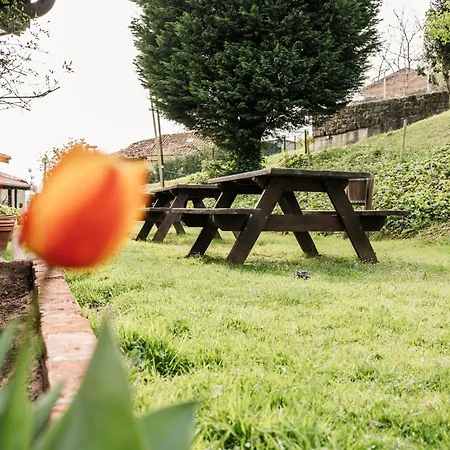 De Buena Vista * Onís