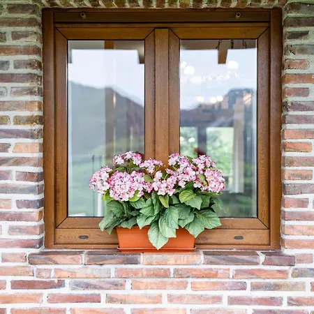 Apartament De Buena Vista