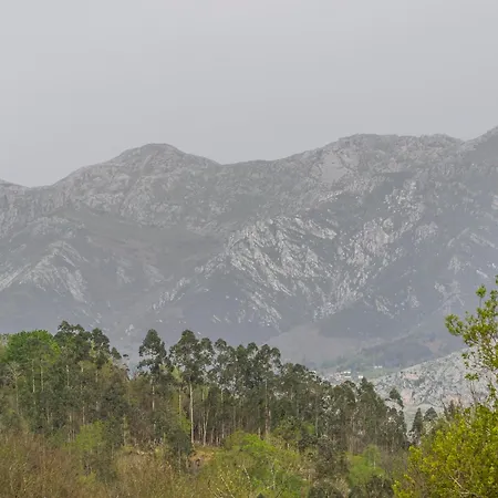 Apartament De Buena Vista *