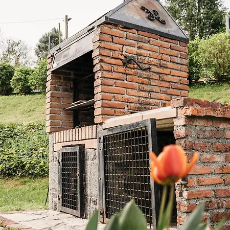 De Buena Vista * Onís