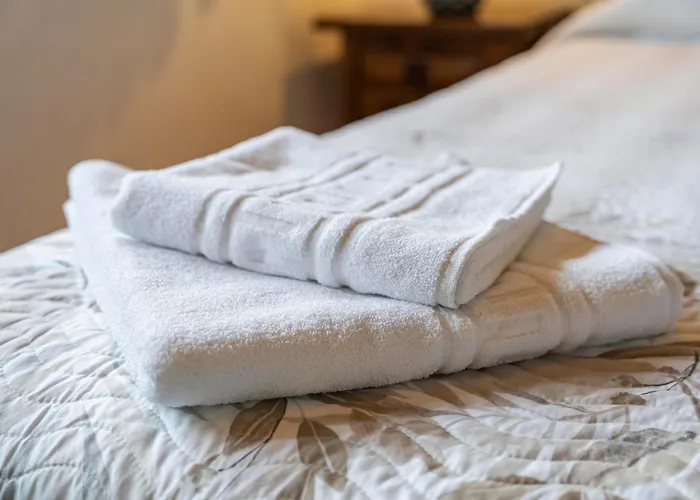 Apartamento De Buena Vista *