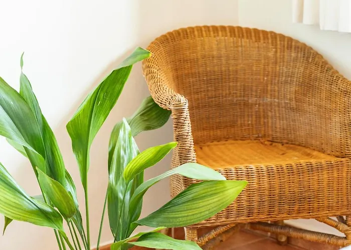 De Buena Vista * Onís