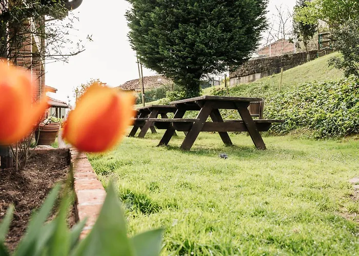 De Buena Vista * Onís