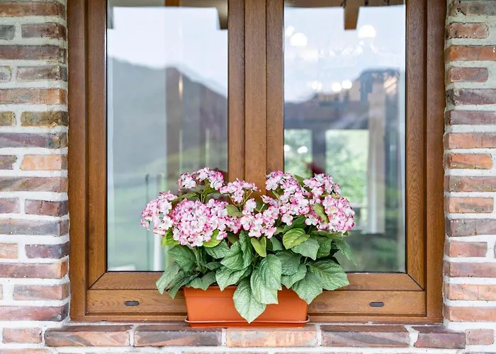 Apartamento De Buena Vista