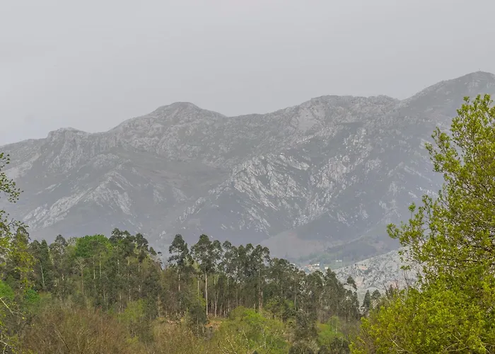 Apartamento De Buena Vista *