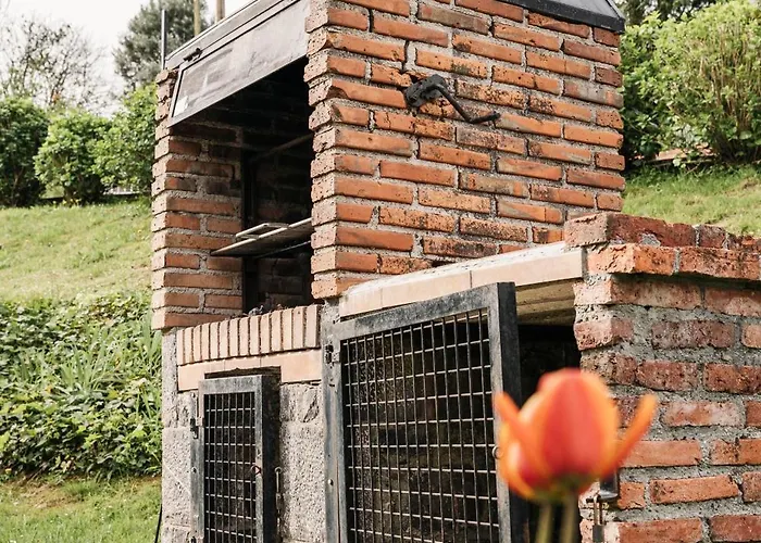 De Buena Vista * Onís